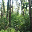 정류장 입구 이미지