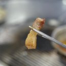돈떵이용담점