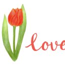 프랑스 자수(야간) 이미지