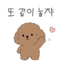 삼태기족발