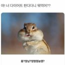 전일복싱클럽 | 헬스장말고 복싱장으로 고고 ! #광주다이어트 #광주서구복싱 #광주복싱 #전일복싱화정관 #광주복싱후기