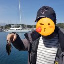 수산어촌체험마을 펜션 이미지