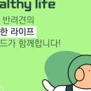 에이드동물병원 이미지