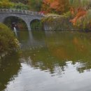 국가지원지방도 | 경주 여행지 코스 갈만한곳 | 토함산 불국사 | 경북 가볼만한곳