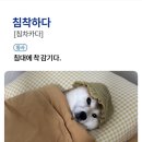 김가네전주콩나물국밥 이미지