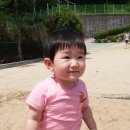 삼어초등학교 이미지