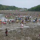 가고파식당민박 이미지