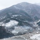 논