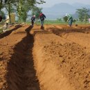 대식농장 이미지