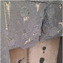 온누리건강하우스 이미지