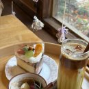 여기서지금 | 충남 예산 카페 ‘여기서 행복할 것’ 후기｜고양이가 있는 케이크 맛집