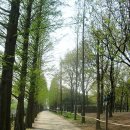 섬말공원2 이미지