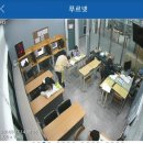 푸르넷신일