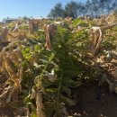 진양에너지 이미지