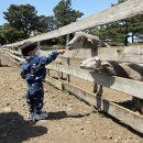 황해목장 이미지