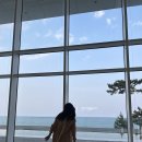 풀보석사우나 | [강릉/ 씨마크 호텔] 트윈 퀸 싱글룸, 수영장, 사우나 및 부대시설, 산책로, 예약 팁 총정리
