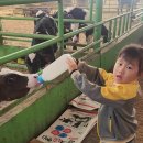 풀잎목장 이미지