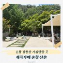 순창 계곡카페 산솔 후기, 강천산 근처 카페 추천