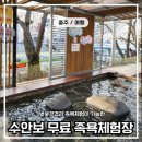 석문천 | 당일치기 여행 수안보 벚꽃 구경 족욕길 무료 족욕체험장