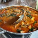 거북이민박 이미지