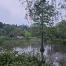 도봉-도봉-서울도봉-2252 이미지