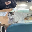 풍덕농장 이미지