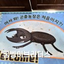 논고개로 | 인천곤충 체험은 여기서! 굼벵이브라더스 후기