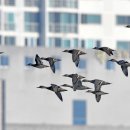 기립농장 이미지