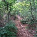 윗말농장 이미지