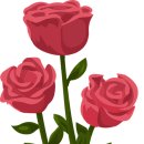 로즈데이 이미지