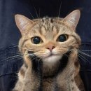 수지미래산후조리원 이미지