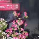 이정희헤어 네이버블로그