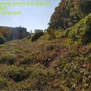 군포시보건소 버스정류소 이미지