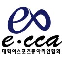 에카 이미지