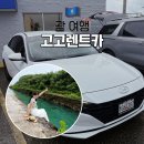 중앙카써비스 | 괌 렌트카 비용 내돈내산 총정리(ft.고고렌트카)