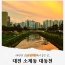 대동천 | 대전역 근처 걷기 좋은 소제동 카페거리, 대동천 산책코스 추천