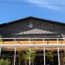 손플라워카페 이미지