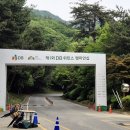레인보우힐스CC 티스토리