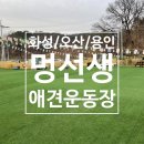 다일유치원 | 화성애견운동장 [멍선생] 방문솔직후기