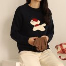 써니퍼피 이미지