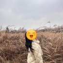 세계유산코스 | 제주여행지추천 유네스코 세계문화유산 거문오름 최단코스 탐방후기