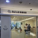 9월의 소원 동물병원 | 고양이 입양일기_누룽지 첫 예방접종 맞음(9월의 소원 동물병원)