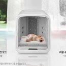 드라이세상 - 전주시 완산구 안행로 149 | 드라이세상