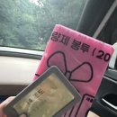 남해편백자연휴양림 | 국립 남해 편백자연휴양림 숙소 &#39;조도&#39; 후기
