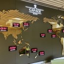 카파쓰호텔 | 강남 카파쓰 호텔 2박 3일 숙박 후기 !