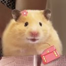 왔구나PC방 | 행복하고싶었는데억까만당했다