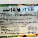 포포스커피