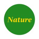 아이폰 사진 필터 앱 추천 : 담이의 자연(Nature) 필터 찐 후기