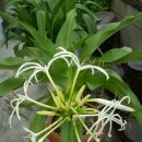 송운농장 이미지