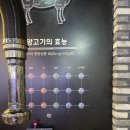 생방송 오늘저녁 방영! 김대호 아나운서도 반한 줄서는식당 건대양꼬치맛집 연길왕꼬치